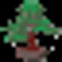 Bonsai Logo