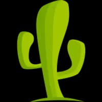 CactusVPN Coupon