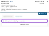 BlueVPS coupon code field at checkout