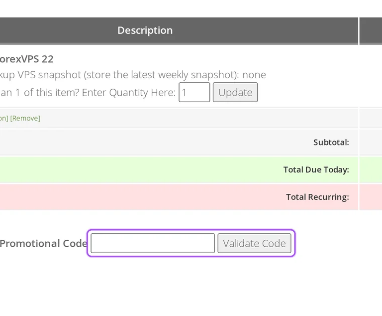 Where to enter a LinkUpHost promo code on the LinkUpHost checkout page