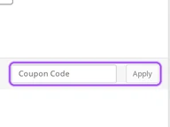 Mailbird coupon code field at checkout