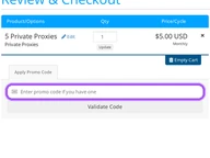 NewIPNow coupon code field at checkout