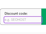 SeoHost coupon code field at checkout