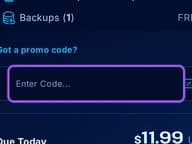 Wisehosting coupon code field at checkout