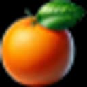OrangeWebsite Logo