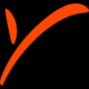 Payoneer Logo