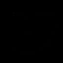Vdsina Logo