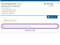Aspiration Hosting coupon code field at checkout