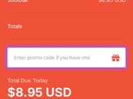 Host4geeks coupon code field at checkout