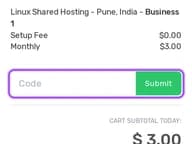 Leapswitch coupon code field at checkout