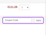 Moneyspire coupon code field at checkout