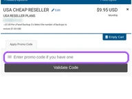 SkynetHosting coupon code field at checkout