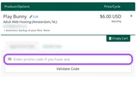 Vicetemple coupon code field at checkout