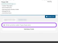 Virpus coupon code field at checkout